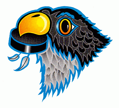 Springfield Falcons 1994 95-2001 02 Secondary Logo iron on heat transfer
